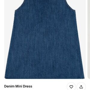 Parke Denim Mini Dress